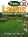Guide To A Beautiful Yard