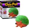 Chia Hedgehog Pottery Planter With Seeds