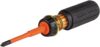 Klein Tools Insulated 2-in-1 Screwdriver Set, 32293