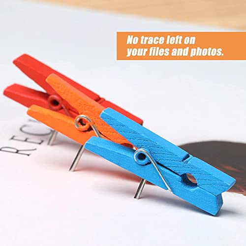 Joyberg Colorful Push Pin With Wooden Clips - Image 4