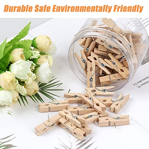 Joyberg Push Pin With Wooden Clips, 50 PCS - Image 5