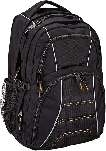 Amazon Basics Laptop Backpack Fits 17-Inch Laptops