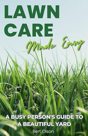Lawn Care: Busy Person’s Guide
