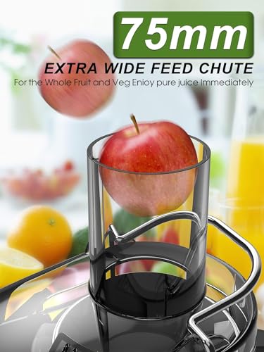 Loilat 1200W Juicer With 3" Feed Chute - Image 4