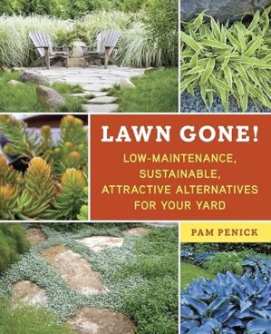 Low-Maintenance Alternatives For Your Yard