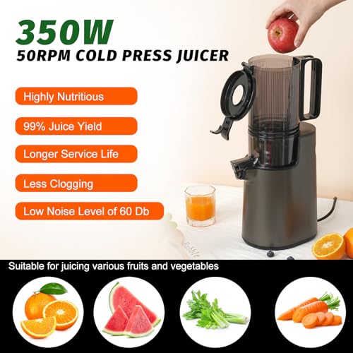 LQZ Cold Press Juicer, Slow Masticating Machine - Image 4