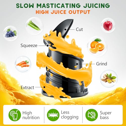 LQZ Cold Press Juicer, Slow Masticating Machine - Image 5