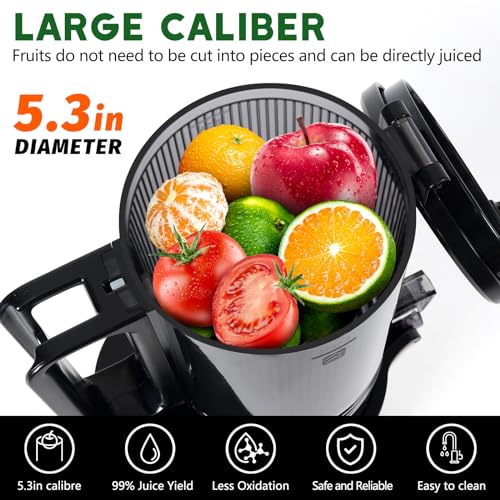 LQZ Cold Press Juicer, Slow Masticating Machine - Image 2