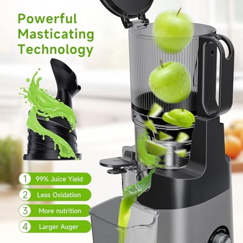 LUIXXN Cold Press Juicer, 6.8" Large Chute - Image 3