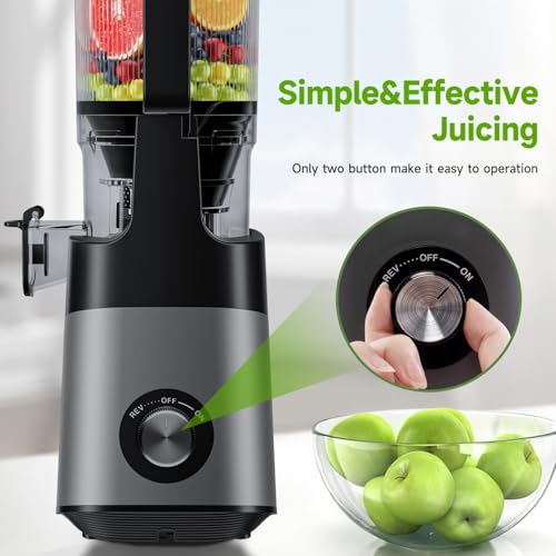 LUIXXN Cold Press Juicer, 6.8" Large Chute - Image 5