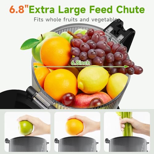LUIXXN Cold Press Juicer, 6.8" Large Chute - Image 2