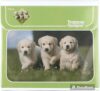 Mead Original Trapper Keeper Puppy Design, 1″ Ring