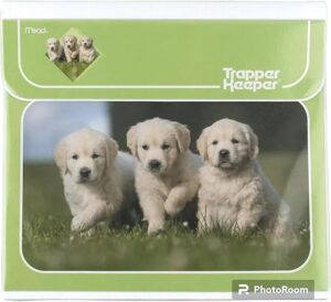 Mead Original Trapper Keeper Puppy Design, 1″ Ring