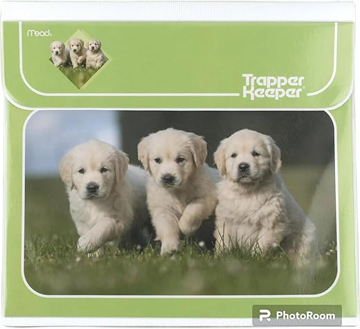 Mead Original Trapper Keeper Puppy Design, 1" Ring