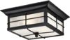 Westinghouse Orwell Two-Light Outdoor Flush-Mount Fixture