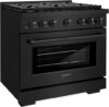 ZLINE Paramount Gas Range With Convection Oven (SGRB-36)