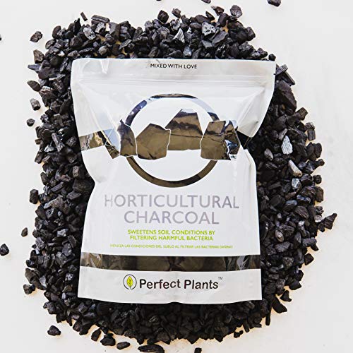 PERFECT PLANTS Horticultural Charcoal - Cleanses & Flushes Toxins - Image 4