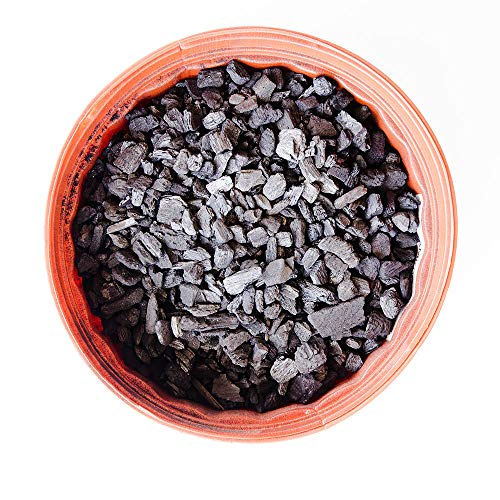 PERFECT PLANTS Horticultural Charcoal - Cleanses & Flushes Toxins - Image 2