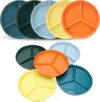 DYB DONGYONGBAO Portion Control Plate, 9.6 Inch, 5 Piece