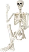 GCNBCNB Posable Human Skeleton, 36 Inch, White