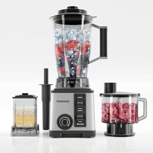 Holumany Professional Kitchen Blender And Food Processor Combo
