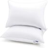 CozyLux Queen Size Hotel Quality Pillows Set