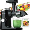 Aeitto Quiet Motor Cold Press Juicer