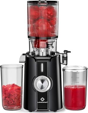 LINKChef Rush Clear Slow Masticating Juicer