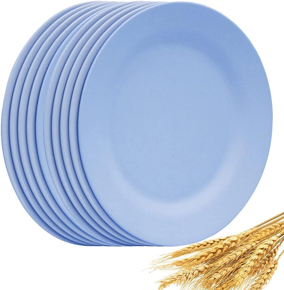 NA Set Of 10 Large Dinner Plates 11 Inch