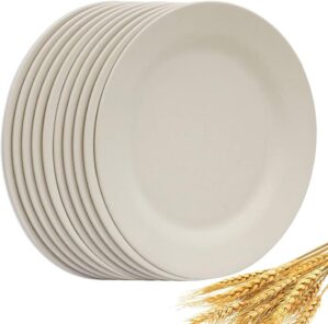 SNOMEL Set Of 10 Unbreakable Salad Plates