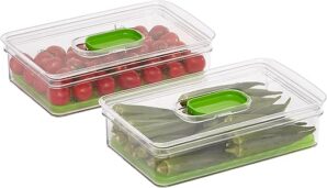 Amazon Basics Set Of 2 Food Saving Containers