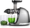 amzchef Slow Cold Press Masticating Juicer With Reverse