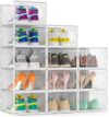 Secret Space Space-Saving Shoe Storage Organizer Set