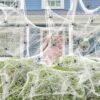 Nirohee Spider Webs Halloween Decorations With Spiders