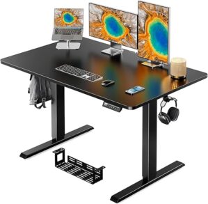 ErGear Standing Desk With 48x30 Inch Desktop, EGESD65B