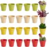 Juvale Tiny Plastic Pots For Plants, 1.5 Inch