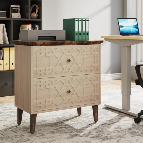Tribesigns 2 Drawer Lateral File Cabinet - Image 3