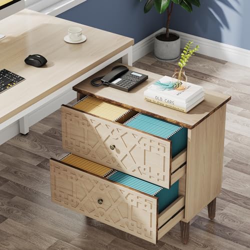 Tribesigns 2 Drawer Lateral File Cabinet - Image 4