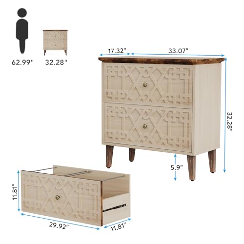 Tribesigns 2 Drawer Lateral File Cabinet - Image 2