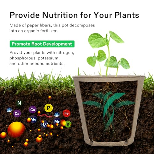 VIVOSUN Peat Pots, 30 Packs Seed Starting Pots - Image 4
