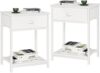 Furologee White Nightstands Set of 2, End Table