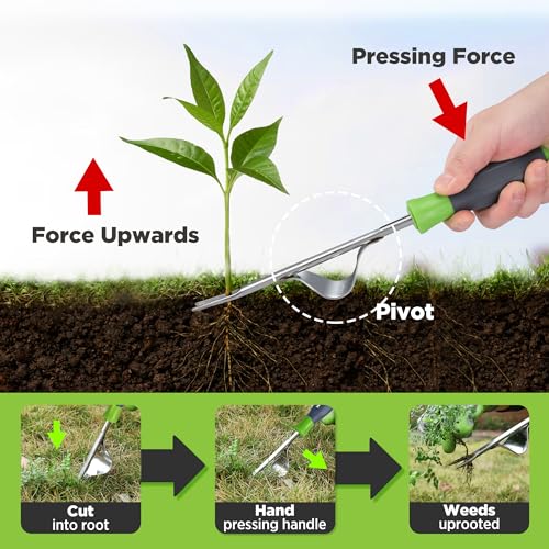 WORKPRO Weed Puller Tool With Metal Leverage Base - Image 4