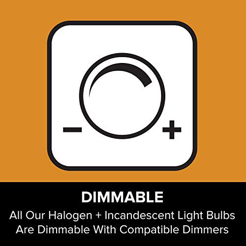 12Vmonster Clear Dimmable T4 GY6.35 Halogen Bulbs - Image 5
