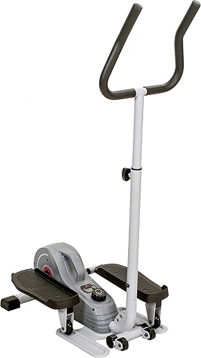 Sunny Health & Fitness 2 In 1 Sit/Stand Mini Elliptical