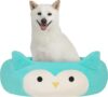 Squishmallows 24-Inch Winston Owl Plush Pet Bed
