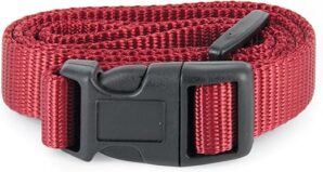 PetSafe 3/4 Replacement Collar Strap - Rust/Red