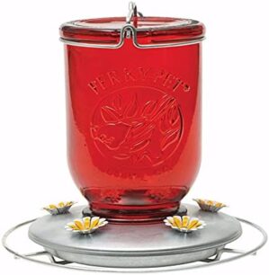 Perky-Pet 32 Oz. Glass Nectar Feeder, 5 Ports