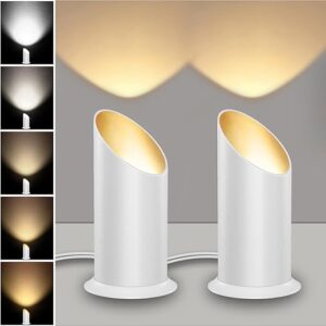TuyuBEE 5-Color Dimmable Indoor LED Spotlight