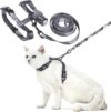 PUPTECK Adjustable Cat Harness And Leash Set