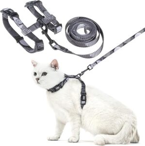 PUPTECK Adjustable Cat Harness And Leash Set